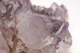 Cactus Quartz (Amethyst) Crystal Cluster - Huge Crystals! #206120-6